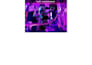 design animated motion flyers and static flyers, posters